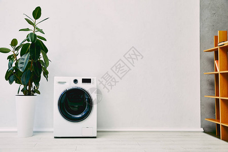 现代洗衣机附近的绿色植物和浴室图片