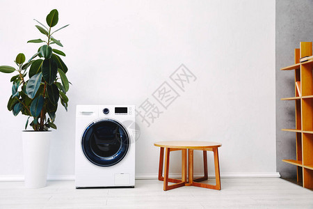 现代洗衣机附近的绿色植物和浴室的木制图片