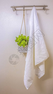 垂直框架白毛巾和装饰植物挂在浴室的墙杆上图片