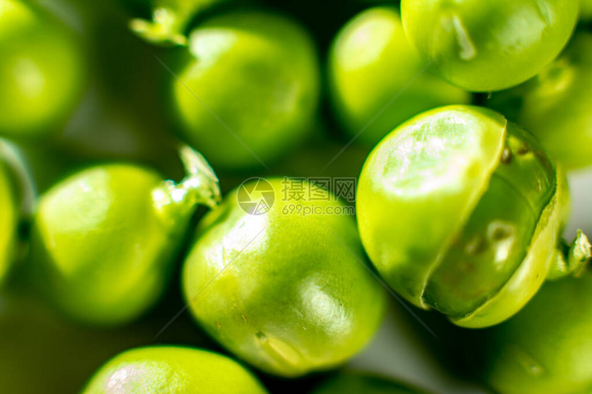 绿军主场TD花园球馆气氛火爆