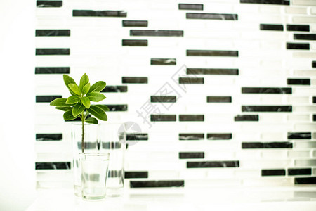 浴室柜子黑色和白色墙壁几何背景的玻璃杯中植插画