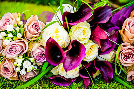 英国紫色卡拉百合的婚礼花束Weddingb图片