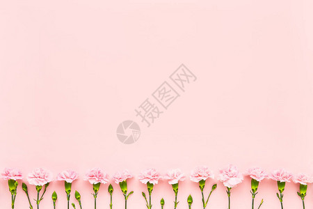 粉红背景的粉红康乃馨花母亲日情人节生日庆祝活动概念复制文本空图片