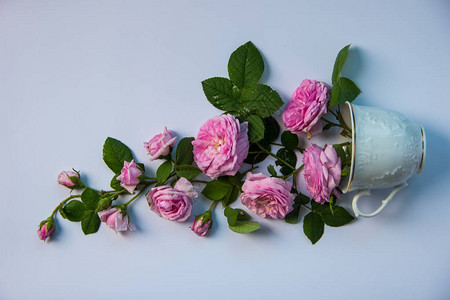 一束美丽的茶花粉红玫瑰站在白色的杯子里背景图片