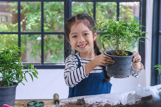 拿着花盆的快乐的小女孩可爱的6岁小女孩在家中手里拿着一盆花树种花图片