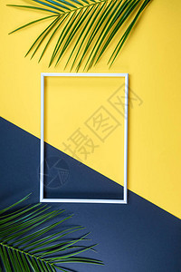 黄色和黑色背景上带有相框和绿叶的夏季组合具有复制空间和热带树图片
