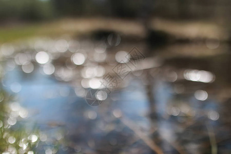 水中的眩光散景图片