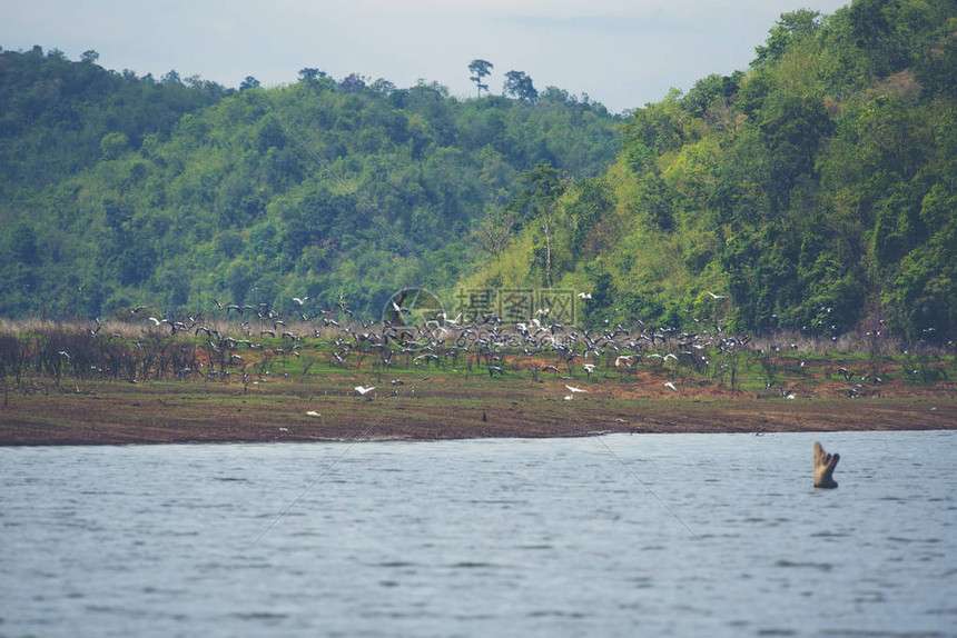 湖水的一部分高清图片下载正版图片504298022摄图网