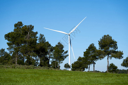 风车拥有生态风车的树木在自然环境下发电的漂亮图象背景