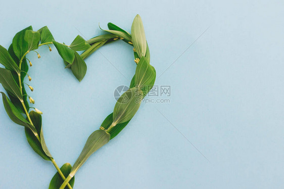 蓝纸背景的野花绿色心脏形状图片
