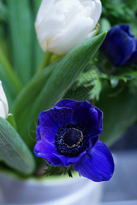 一束鲜亮的蓝色鲜花图片