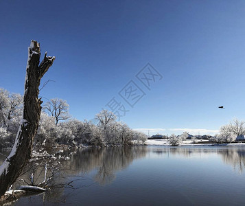 九寨沟冬景在一个下雪的早晨的湖边风景背景