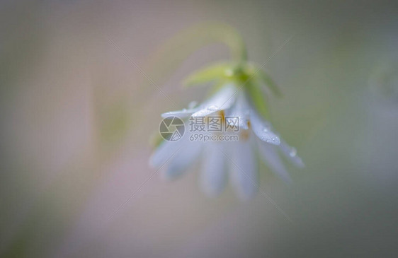 永不改变的叫做图片