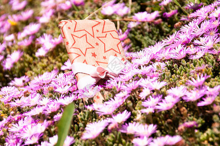 配满星和紫花带的彩带的礼物图片