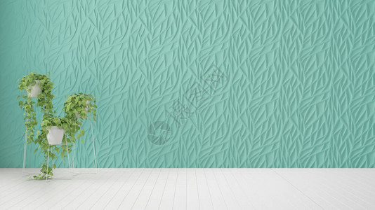 空荡的室内设计绿松石装饰的模压面板木白地板和盆栽植物现代建筑背景与复制空间图片