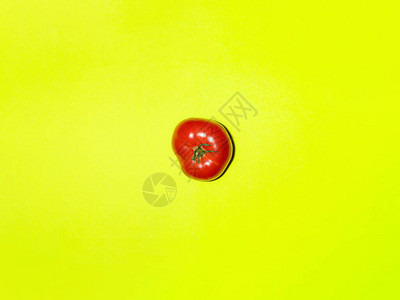 淡绿色背景的新鲜番茄多彩背景图片