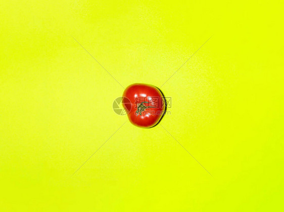 淡绿色背景的新鲜番茄多彩图片