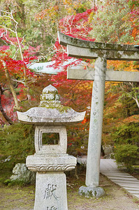 秋天日本京都日本寺庙的石灯和陶里门东背景图片