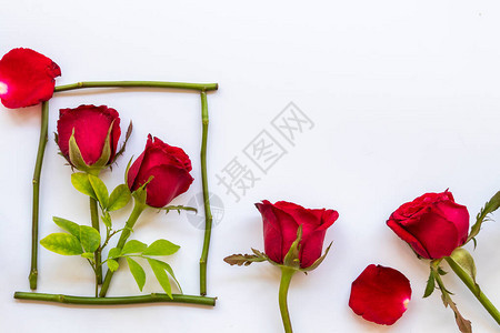 红玫瑰花布局平整的明信片风格图片