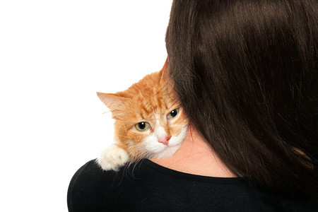 女肩膀上的猫图片