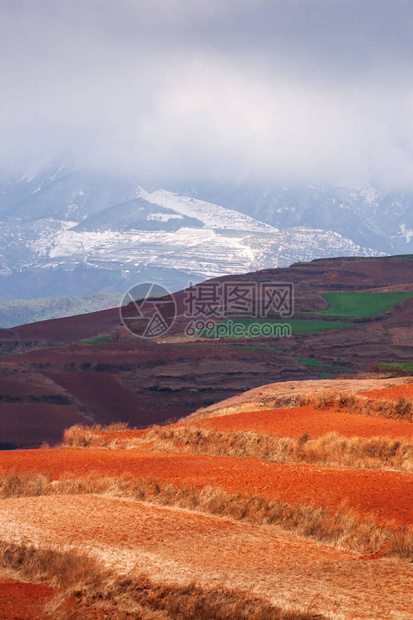 红土地在日出雪山和云彩背景的五颜六色的风景太阳照耀在梯田的麦田周围东川图片