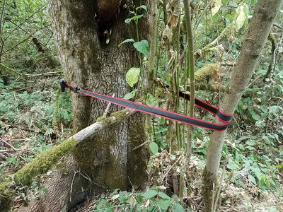 黑红和黑带或图片