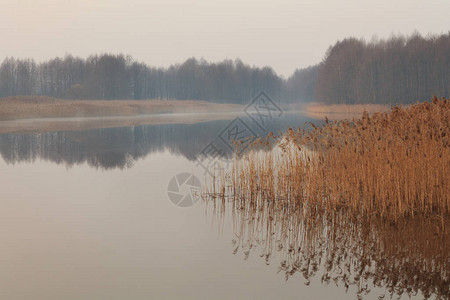 湖边的晨雾日出2图片