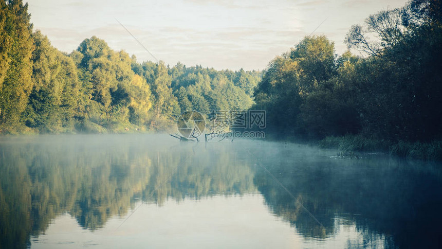 蓝天和雾在河上图片