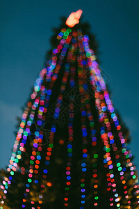 圣诞树和灯图片
