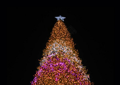 巨人闪烁圣诞树的低角景色在黑图片