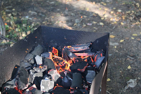 野餐照片木炭烤架上的烤架上的火花和火图片