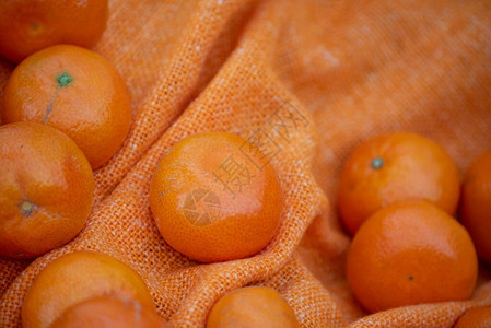 橙色布料上的橘子普通汉式唐格因合图片