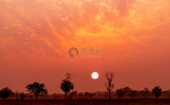 红色和橙色的日落天空与泰国东北部的落叶龙脑香林夏天美丽的夕阳天空晚上树的大红太阳宁静祥和的景观图片