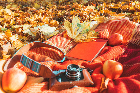 秋天公共园的地面上装有毯子书本和背景图片