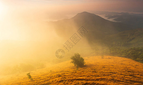 在山的美丽的夏天风景与日落图片