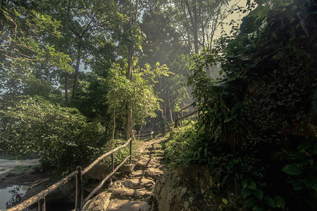 泰国森林旅游景点的一条图片