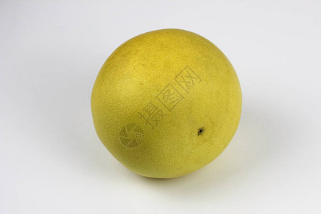 新鲜成熟的柚子柑橘最大值或柑橘大柚子隔图片