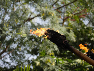 在绿叶模糊的背景下燃热的火炉燃烧着图片