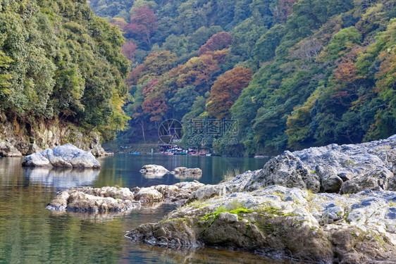 日本青山的美丽河流和一片森林图片