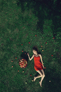 苹果之间的女孩顶视图一个穿着红色连衣裙的漂亮女孩躺在苹果旁边的草地上图片