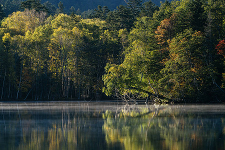 北海道的奥内托湖图片