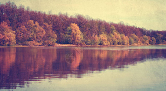秋季雨天森林湖全景图片