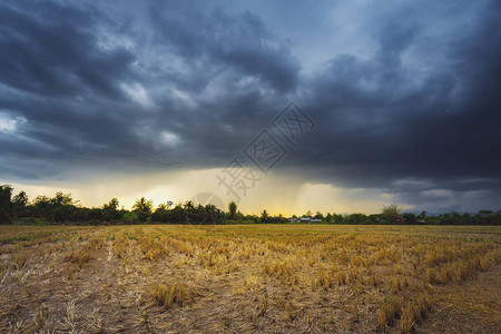 田间农业和阳光下的雨云图片