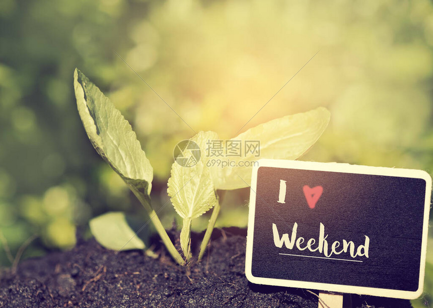 周末有哪些NBA比赛 详细赛程与直播平台一站式指南