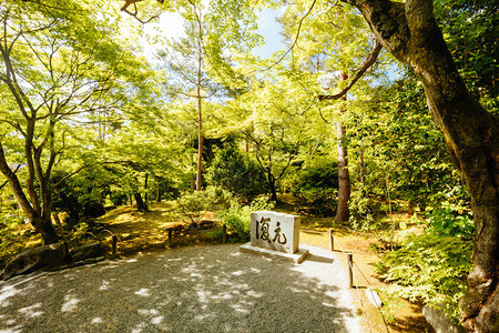 在日本京都林山的暖春图片