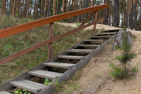 有栏杆的木楼梯在森林里图片