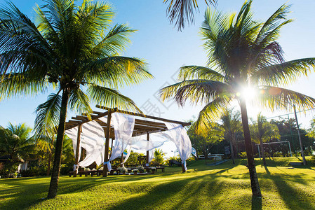 由日落在棕榈树之间设置美丽的巴西风格图片