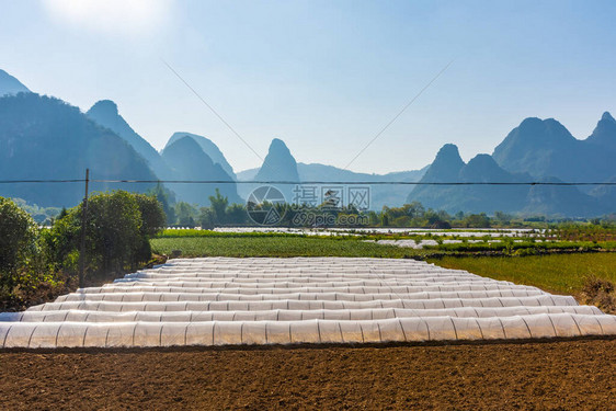 广西农村景观图片