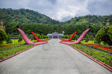 欧洲福莫桑土著文化村宫花园朵装饰佛摩桑图片