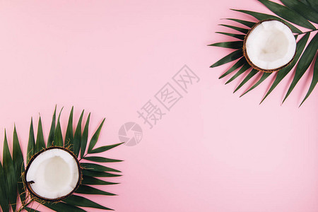 棕榈叶和椰子在粉色糊面背景上图片